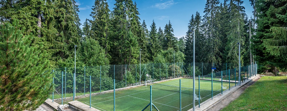 Tenis a šport